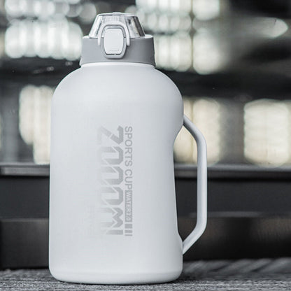 2 Litre Insulated Water Bottle with Straw