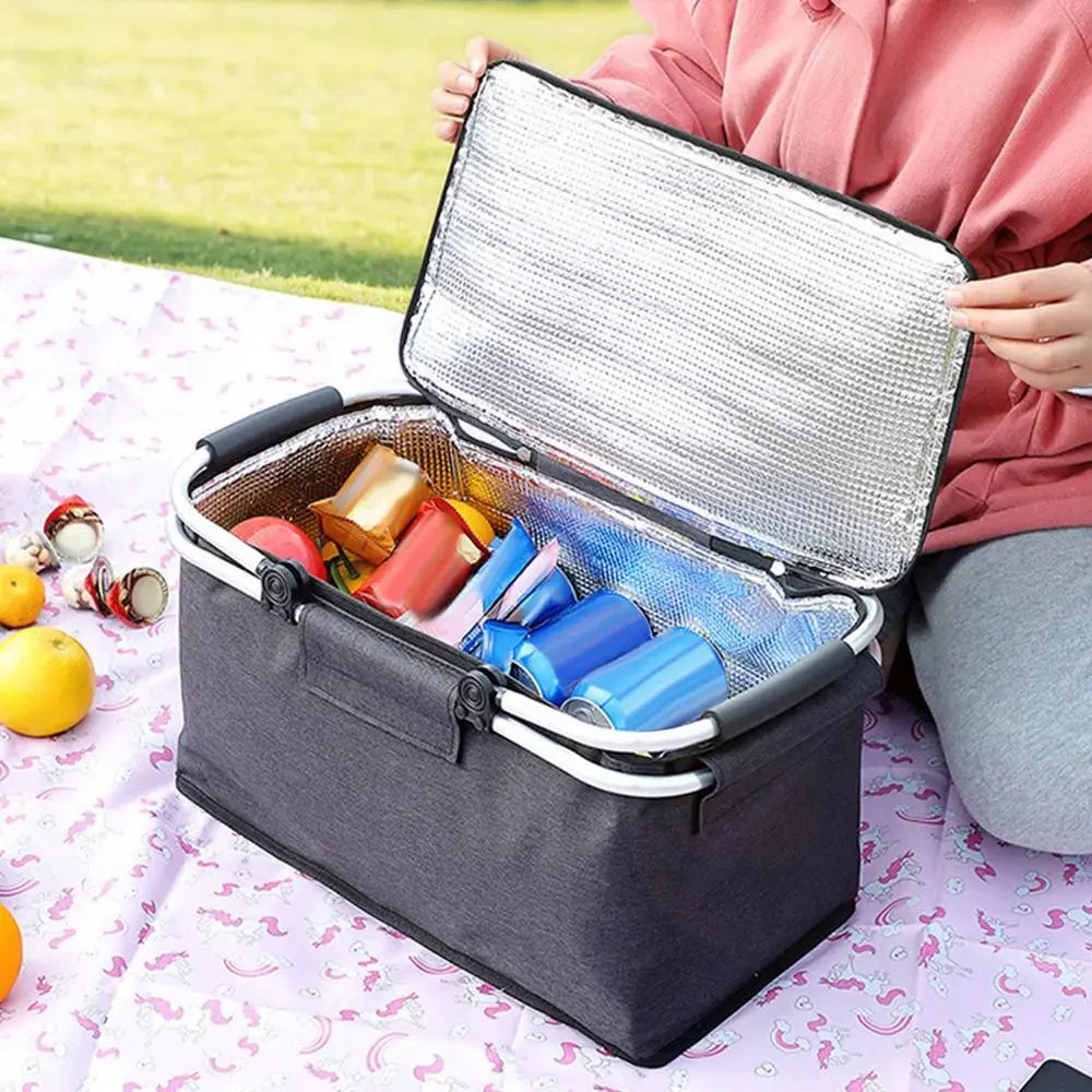 Insulated Beach Bag