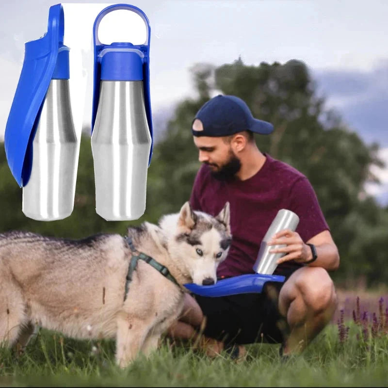 Insulated Water Bottle for Dogs