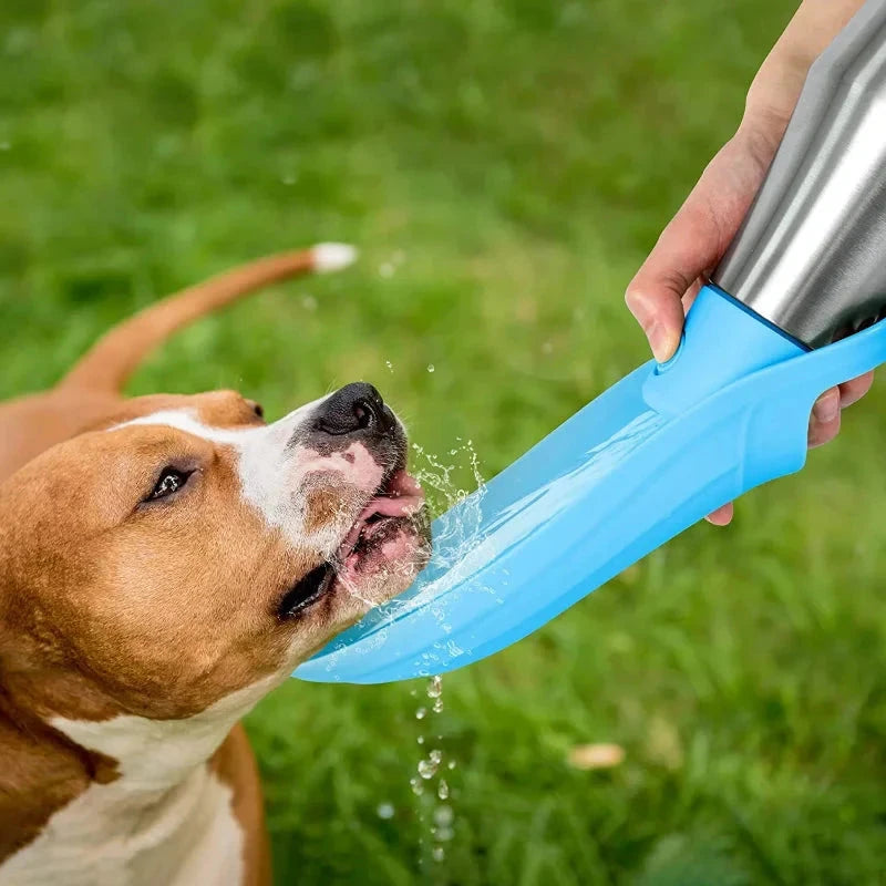 Insulated Water Bottle for Dogs